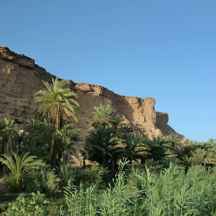 Amoudou Lodge Camp Tissint Exterior foto